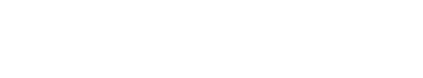 ZBZ Bearing